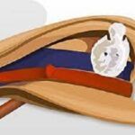 ಮೈಸೂರು: ಸಿಸಿಬಿಯ 8 ಪೊಲೀಸರು ಎತ್ತಂಗಡಿ