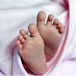 ಕಾಫಿ ತೋಟದಲ್ಲಿ ನವಜಾತ ಹೆಣ್ಣು ಶಿಶು ಪತ್ತೆ, ರಕ್ಷಣೆ