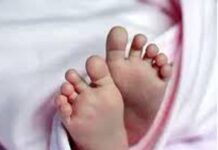 ಕಾಫಿ ತೋಟದಲ್ಲಿ ನವಜಾತ ಹೆಣ್ಣು ಶಿಶು ಪತ್ತೆ, ರಕ್ಷಣೆ