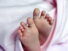 ಕಾಫಿ ತೋಟದಲ್ಲಿ ನವಜಾತ ಹೆಣ್ಣು ಶಿಶು ಪತ್ತೆ, ರಕ್ಷಣೆ