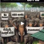 ಅಕ್ರಮ ರೆಸಾರ್ಟ್: ಕಬಿನಿ ಉಳಿವಿಗಾಗಿ ಶುರುವಾಯ್ತು ಹೋರಾಟ