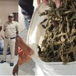10.3 ಲಕ್ಷ ರೂ ಮೌಲ್ಯದ ಗಾಂಜಾ ವಶ: ಆರೋಪಿ ಬಂಧನ
