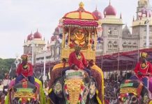 ಅಂಬಾರಿ ಹೊತ್ತು ಕ್ಯಾಪ್ಟನ್ ಅಭಿಮನ್ಯು ರಾಜಗಾಂಭೀರ್ಯದಿಂದ ಹೆಜ್ಜೆ: ಕಾವೇರಿ, ರೂಪಾ ಆನೆಗಳು ಸಾಥ್