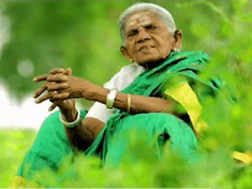 salumarada thimmakka