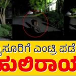 MYSORE BEML; ಹುಲಿ ಪ್ರತ್ಯಕ್ಷ, ದೃಢಪಡಿಸಿದ ಪಗ್ ಮಾರ್ಕ್..!