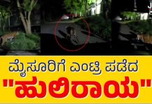 MYSORE BEML; ಹುಲಿ ಪ್ರತ್ಯಕ್ಷ, ದೃಢಪಡಿಸಿದ ಪಗ್ ಮಾರ್ಕ್..!