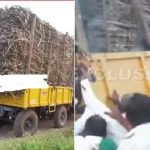 ತೀವ್ರಗೊಂಡ ಹೋರಾಟ: ಕಬ್ಬು ತುಂಬಿದ ಟ್ರ್ಯಾಕ್ಟರ್ ಉರುಳಿಸಿ ಬೆಂಕಿ ಹಚ್ಚಿದ ರೈತರು