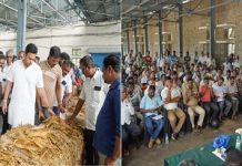 ತಂಬಾಕು ಬೆಳೆಗಾರರಿಗೆ ನ್ಯಾಯಯುತ ದರ, ತಂಬಾಕು ಹರಾಜು ಪಾರದರ್ಶಕತೆಗೆ ಸಂಸದ ಯದುವೀರ್ ಒತ್ತಾಯ