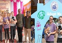 ಬೀದಿ ನಾಯಿಮರಿಗಳ ದತ್ತು ಸ್ವೀಕಾರ ಅಭಿಯಾನಕ್ಕೆ ಚಾಲನೆ