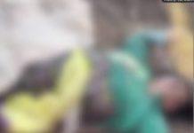 ಕಾಡಾನೆ ದಾಳಿಗೆ ಕಾರ್ಮಿಕ ಮಹಿಳೆ ಬಲಿ