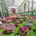 ನಾಳೆಯಿಂದ ಲಾಲ್ ಬಾಗ್ ನಲ್ಲಿ ಫ್ಲವರ್ ಶೋ