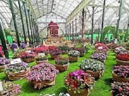 ನಾಳೆಯಿಂದ ಲಾಲ್ ಬಾಗ್ ನಲ್ಲಿ ಫ್ಲವರ್ ಶೋ