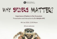 “ಜೇಡಗಳು ಏಕೆ ಮುಖ್ಯ?” ಜ.4 ರಂದು ಪರಿಸರ ಜಾಗೃತಿ ಕಾರ್ಯಕ್ರಮ
