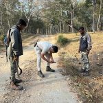 6ನೇ ಅಖಿಲ ಭಾರತ ‘ಹುಲಿ ಗಣತಿ’ ಆರಂಭ