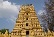 ಮಹಾಶಿವರಾತ್ರಿ: ತ್ರಿನೇಶ್ವರಸ್ವಾಮಿ ದೇವಾಲಯದಲ್ಲಿ ವಿಶೇಷ ಪೂಜೆ