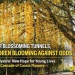 ಪ್ರಕೃತಿ ಮಡಿಲಲ್ಲಿ ಚಿಕಿತ್ಸೆ: AIISH ನಲ್ಲಿ ಮಕ್ಕಳ ಕನಸುಗಳಿಗೆ ಹೂವಿನ ದಾರಿ.