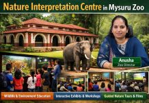 Nature Interpretation Centre: ಪ್ರಕೃತಿ–ವನ್ಯಜೀವಿ ಅರಿವಿಗೆ ಮೈಸೂರು ಮೃಗಾಲಯದಲ್ಲಿ ಹೊಸ ವೇದಿಕೆ .