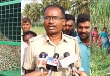 ಮರಿ ಹುಡುಕಿಕೊಂಡು ಬಂದು ಬೋನಿಗೆ ಬಿದ್ದ ತಾಯಿ ಚಿರತೆ: ನೋಡಲು ಮುಗ್ಗಿಬಿದ್ದ ಜನರು