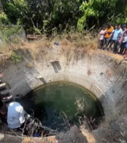 The Art of Baking: From Classic Bread to Artisan Pastries