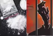 ಮಂಡ್ಯ ಕಾರಾಗೃಹದಲ್ಲಿ ಗಾಂಜಾ, ಮೊಬೈಲ್ ಪತ್ತೆ : ಪ್ರಕರಣ ದಾಖಲು