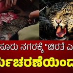 ಮೈಸೂರು: ಮನೆಯೊಳಗೆ ಕಾಣಿಸಿಕೊಂಡು ಆತಂಕ ಸೃಷ್ಟಿಸಿದ ಚಿರತೆ ಸೆರೆ