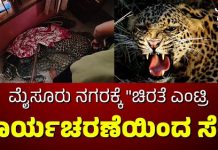 ಮೈಸೂರು: ಮನೆಯೊಳಗೆ ಕಾಣಿಸಿಕೊಂಡು ಆತಂಕ ಸೃಷ್ಟಿಸಿದ ಚಿರತೆ ಸೆರೆ