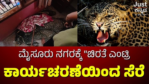 ಮೈಸೂರು: ಮನೆಯೊಳಗೆ ಕಾಣಿಸಿಕೊಂಡು ಆತಂಕ ಸೃಷ್ಟಿಸಿದ ಚಿರತೆ ಸೆರೆ