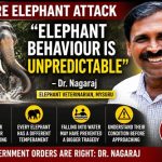 ದುಬಾರೆಯಲ್ಲಿ ಕಂಜನ್ ಆನೆ ದಾಳಿ: “ಆನೆಗಳ ಸ್ವಭಾವ ಊಹಿಸಲು ಸಾಧ್ಯವಿಲ್ಲ” – ವೈದ್ಯ ಡಾ. ನಾಗರಾಜ್