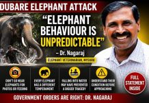 ದುಬಾರೆಯಲ್ಲಿ ಕಂಜನ್ ಆನೆ ದಾಳಿ: “ಆನೆಗಳ ಸ್ವಭಾವ ಊಹಿಸಲು ಸಾಧ್ಯವಿಲ್ಲ” – ವೈದ್ಯ ಡಾ. ನಾಗರಾಜ್