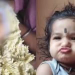 ತಾಯಿ ಮಡಿಲಲ್ಲಿದ್ದಾಗಲೇ ತೆಂಗಿನಕಾಯಿ ಬಿದ್ದು ಮಗು ಸಾವು