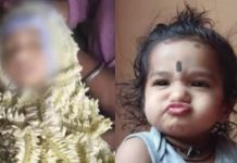 ತಾಯಿ ಮಡಿಲಲ್ಲಿದ್ದಾಗಲೇ ತೆಂಗಿನಕಾಯಿ ಬಿದ್ದು ಮಗು ಸಾವು