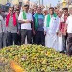 ಮಾವಿಗೆ ಬೆಂಬಲ ಬೆಲೆ ನೀಡುವಂತೆ ಆಗ್ರಹ: ಇಂದು ಕೋಲಾರ ಬಂದ್