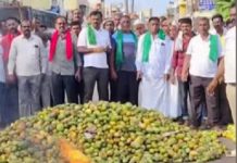 ಮಾವಿಗೆ ಬೆಂಬಲ ಬೆಲೆ ನೀಡುವಂತೆ ಆಗ್ರಹ: ಇಂದು ಕೋಲಾರ ಬಂದ್