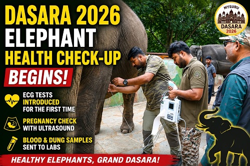 DASARA 2026: ಜಂಬೂ ಪಡೆಗೆ ಇದೇ ಮೊದಲ ಬಾರಿ ECG ಪರೀಕ್ಷೆ
