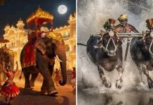 ದಸರಾದಲ್ಲಿ ಮೊದಲ ಬಾರಿಗೆ ಕಂಬಳ: ಭರದಿಂದ ಸಿದ್ಧತೆ, ಸಂಭ್ರಮದ ನಿರೀಕ್ಷೆಯಲ್ಲಿ ಮೈಸೂರು
