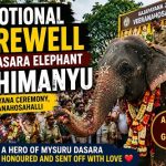 ಮೈಸೂರು ದಸರಾ ಅಂಬಾರಿ ಆನೆ ಅಭಿಮನ್ಯುಗೆ ಅಭಿಮಾನದ ಬೀಳ್ಕೊಡುಗೆ