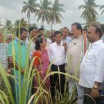 ಬತ್ತಿದ ಕಬ್ಬಿನ ಗದ್ದೆ ವೀಕ್ಷಣೆ: ಬೆಳೆ ಹಾನಿಯ ವಾಸ್ತವಿಕ ಮಾಹಿತಿ ಆಧರಿಸಿ ಕ್ರಮ- ಸಚಿವ ಎನ್. ಚಲುವರಾಯಸ್ವಾಮಿ