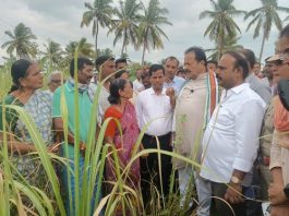 ಬತ್ತಿದ ಕಬ್ಬಿನ ಗದ್ದೆ ವೀಕ್ಷಣೆ: ಬೆಳೆ ಹಾನಿಯ ವಾಸ್ತವಿಕ ಮಾಹಿತಿ ಆಧರಿಸಿ ಕ್ರಮ- ಸಚಿವ ಎನ್. ಚಲುವರಾಯಸ್ವಾಮಿ