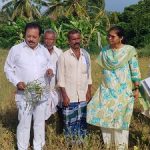 ಹಲಸಂದೆ ಬೆಳೆ ವೀಕ್ಷಣೆ: ರೈತರ ಜೊತೆ ಚರ್ಚಿಸಿದ ಸಚಿವ ಎನ್. ಚಲುವರಾಯಸ್ವಾಮಿ