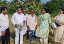 ಹಲಸಂದೆ ಬೆಳೆ ವೀಕ್ಷಣೆ: ರೈತರ ಜೊತೆ ಚರ್ಚಿಸಿದ ಸಚಿವ ಎನ್. ಚಲುವರಾಯಸ್ವಾಮಿ