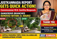 JustKannada ವರದಿಗೆ ಪಾಲಿಕೆ ಆಯುಕ್ತೆಯ ತಕ್ಷಣದ ಸ್ಪಂದನೆ: 24 ಗಂಟೆಯೊಳಗೆ ಅಪಾಯಕಾರಿ ಕೊಂಬೆ ತೆರವು