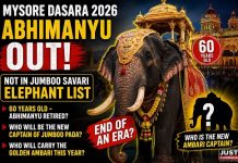 ಮೈಸೂರು ದಸರಾ ಜಂಬೂಸವಾರಿ: ಅಂಬಾರಿ ಸಾರಥಿ ಅಭಿಮನ್ಯುಗೆ ಕೊಕ್!
