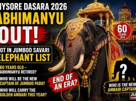 ಮೈಸೂರು ದಸರಾ ಜಂಬೂಸವಾರಿ: ಅಂಬಾರಿ ಸಾರಥಿ ಅಭಿಮನ್ಯುಗೆ ಕೊಕ್!