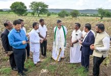 ಬರ ಘೋಷಣೆ; 15 ದಿನಗಳಲ್ಲಿ ಮತ್ತಷ್ಟು ತಾಲ್ಲೂಕುಗಳ ಪಟ್ಟಿ: ಸಿಎಂ ಡಿ.ಕೆ ಶಿವಕುಮಾರ್
