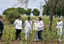 ರೈತರ ಜಮೀನಿಗೆ ಸಿಎಂ ಡಿಕೆಶಿ ಭೇಟಿ, ಬೆಳೆಹಾನಿ ವೀಕ್ಷಣೆ