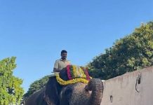 ಮೈಸೂರು ದಸರಾ ಆನೆಗಳ ತೂಕ ಪರೀಕ್ಷೆ: ಸುಗ್ರೀವಾ ಬಲಶಾಲಿ