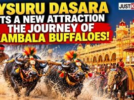 ದಸರಾಗೆ ಈ ಬಾರಿ ‘ಕೋಣಗಳ ಪಯಣ’!