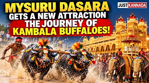 ದಸರಾಗೆ ಈ ಬಾರಿ ‘ಕೋಣಗಳ ಪಯಣ’!