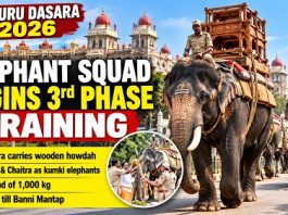 ಮಹೇಂದ್ರ ಬಾಹುಬಲಿ” ಅಂಬಾರಿ ತಾಲೀಮಿಗೆ ವರುಣನ ಅಡ್ಡಿ