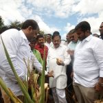 ಮೈಸೂರು ಜಿಲ್ಲೆಗೆ ಡಿಸಿಎಂ ಪರಮೇಶ್ವರ್ ಭೇಟಿ, ಬರ ಪರಿಶೀಲನೆ